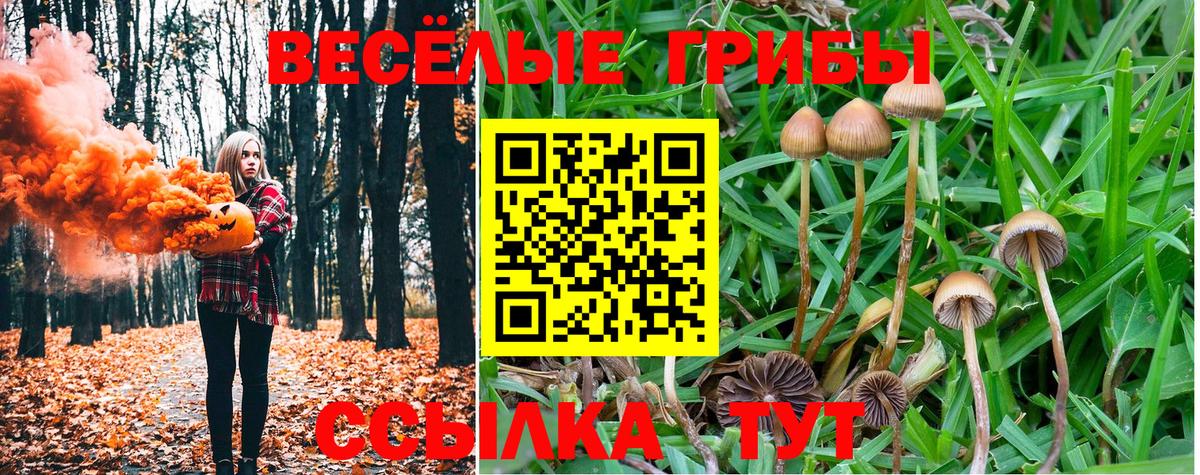 Галлюциногенные грибы MAGIC MUSHROOMS Темрюк