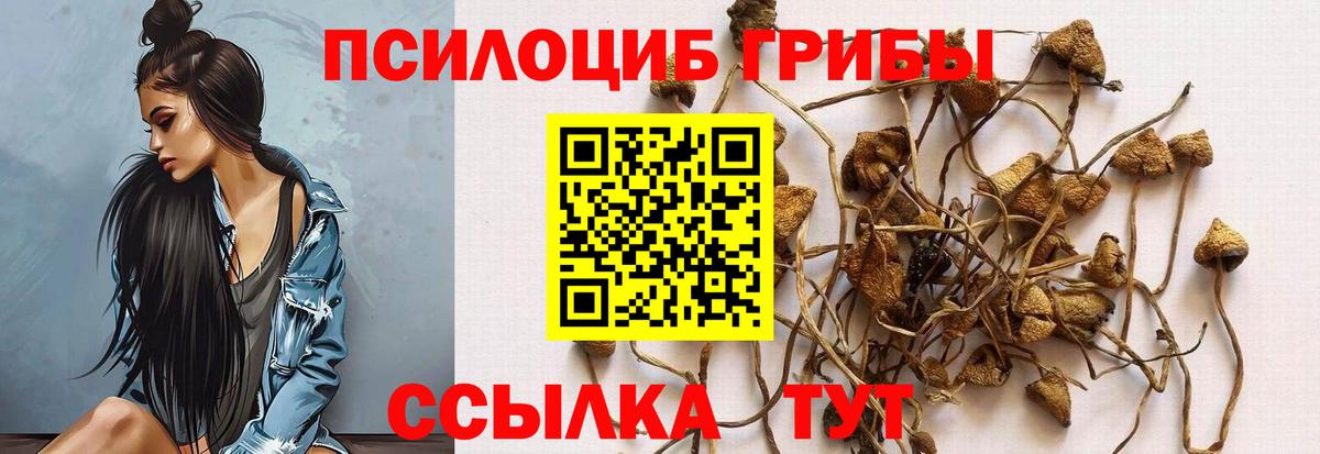 Галлюциногенные грибы мухоморы  Псилоцибиновые грибы прущие грибы  Темрюк  Вход с VPN 